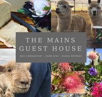 The Mains Guest House - Internet Find