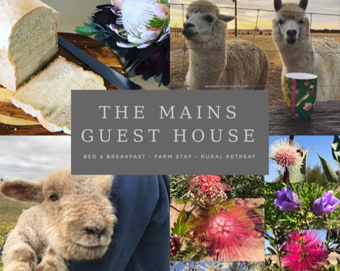 The Mains Guest House - Renee 0