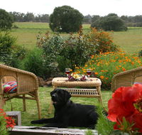 Silversprings cottages - Renee