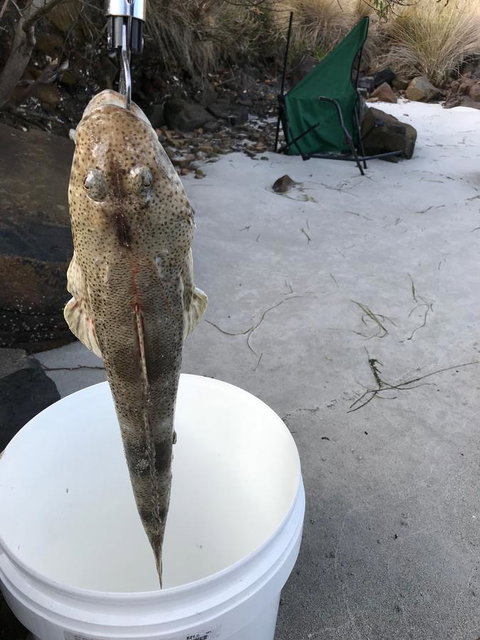 Summertime Cottage - Swimm 6