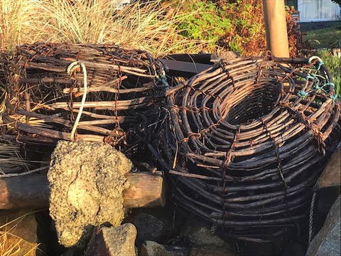 Summertime Cottage - Swimm 4