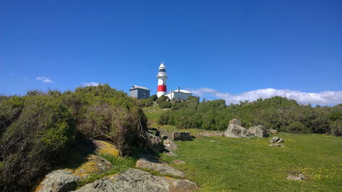 Low Head Tourist Park - Swimm 6