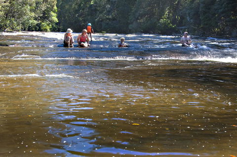 Tyenna River Cottage - Renee 9