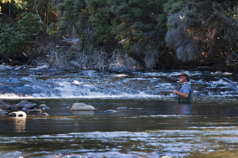 Tyenna River Cottage - Renee 21