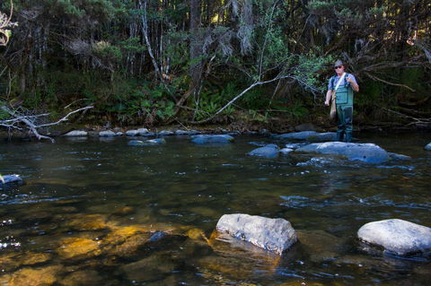 Tyenna River Cottage - Renee 2