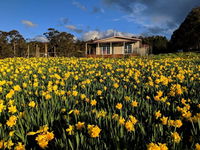 Mountain Blue Guest House