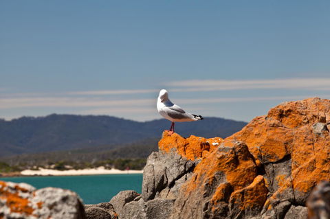 Pearl Hawley Beach - Internet Find 41