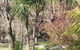 Lucinda B&B - thumb 23