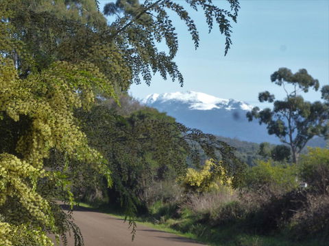 Southern Forest Accommodation - Swimm 24