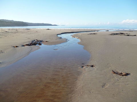 Southern Forest Accommodation - Swimm 28