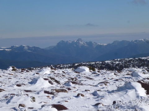 Southern Forest Accommodation - Swimm 29