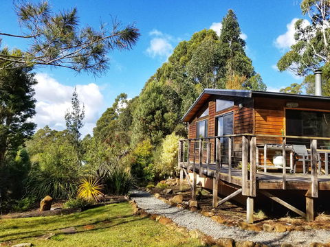 Southern Forest Accommodation - Swimm 0