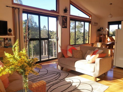 Southern Forest Accommodation - Swimm 3