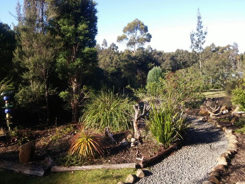 Southern Forest Accommodation - Swimm 2