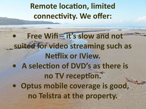 Southern Forest Accommodation - Swimm 13