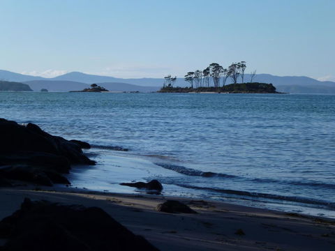 Southern Forest Accommodation - Swimm 26