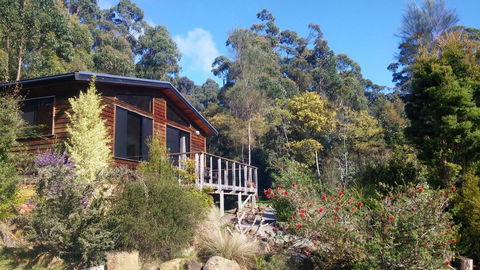 Southern Forest Accommodation - Swimm 7