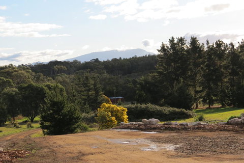 Catherine Lodge Farm Gate Cottages - Qld Realsetate 19