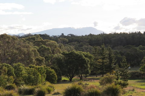 Catherine Lodge Farm Gate Cottages - Qld Realsetate 21