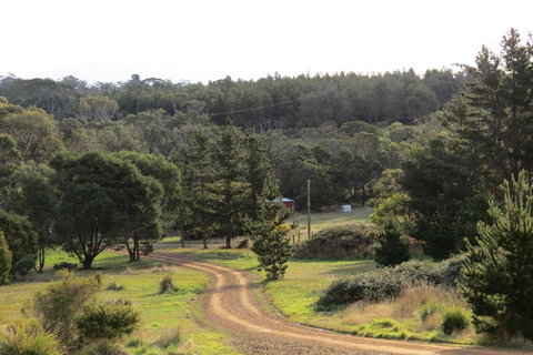Catherine Lodge Farm Gate Cottages - Qld Realsetate 20