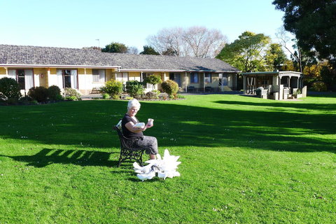 Willaway Motel Apartments - Renee 10