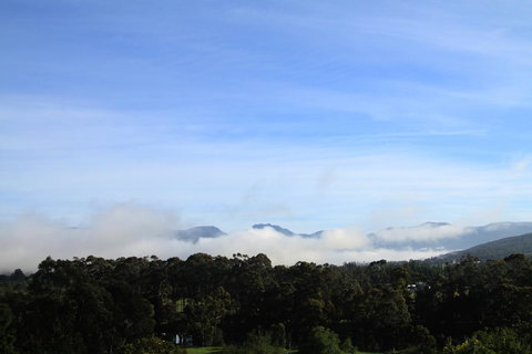 BIG.SHED.HOUSE - Swimm 11