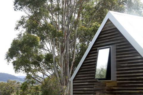 BIG.SHED.HOUSE - Swimm 9