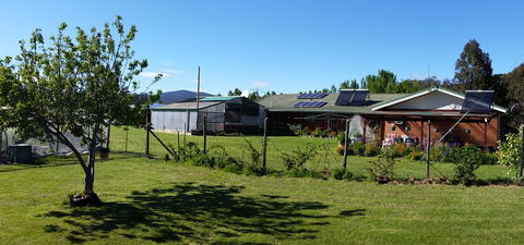 Quamby Pines Chalet - Renee 1