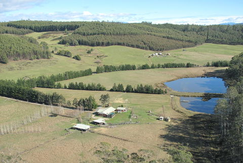 Quamby Pines Chalet - Renee 7