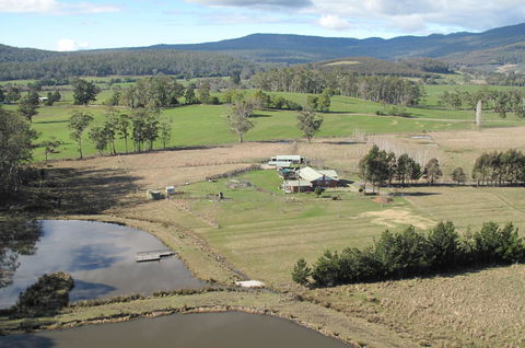 Quamby Pines Chalet - Renee 9