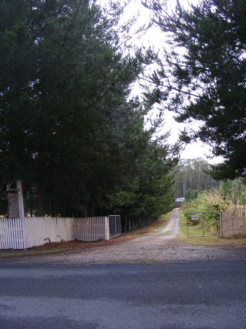 Quamby Pines Chalet - Renee 2