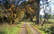 Drumreagh Bed & Breakfast Cabins - thumb 6