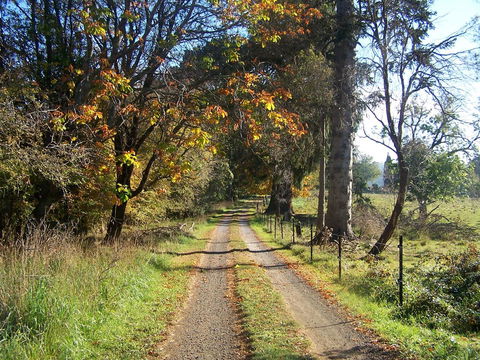 Drumreagh Bed & Breakfast Cabins - Renee 6