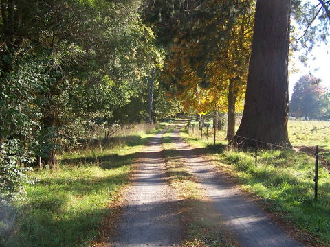 Drumreagh Bed & Breakfast Cabins - Renee 5