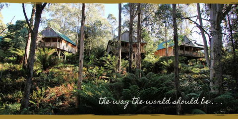 Lemonthyme Wilderness Retreat - Internet Find 20