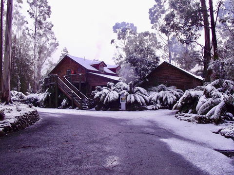 Lemonthyme Wilderness Retreat - Internet Find 12