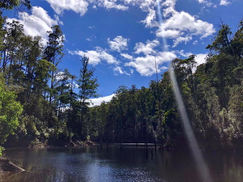 Lemonthyme Wilderness Retreat - Internet Find 7