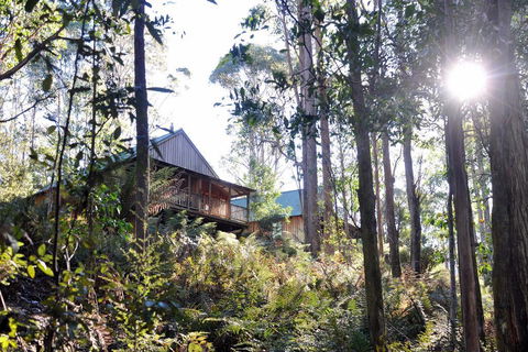 Lemonthyme Wilderness Retreat - Internet Find 25