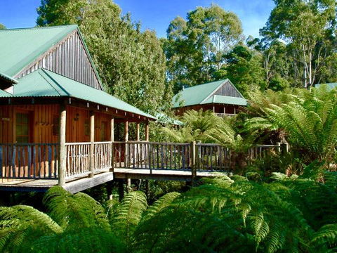 Lemonthyme Wilderness Retreat - Internet Find 11