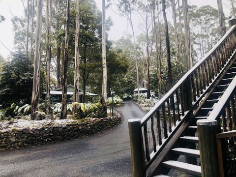 Lemonthyme Wilderness Retreat - Internet Find 15