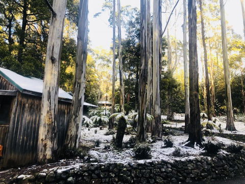 Lemonthyme Wilderness Retreat - Internet Find 6