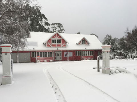 Cradle Forest Inn - Renee 0