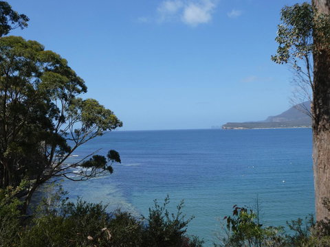 Osprey Lodge & Bungalow - Swimm 3