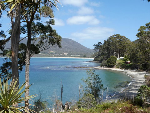 Osprey Lodge & Bungalow - Swimm 4