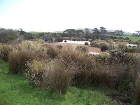 Cloudy Bay Beach House - Internet Find 24