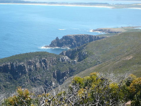 Cloudy Bay Beach House - Internet Find 26