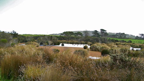 Cloudy Bay Beach House - Internet Find 19