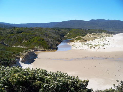 Cloudy Bay Beach House - Internet Find 13
