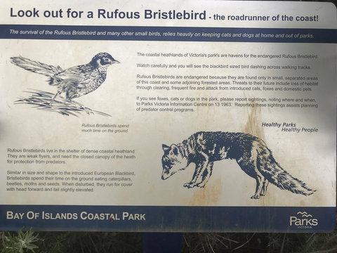 Sunsets On Martyrs Beach House - Ocean Views - Renee 40