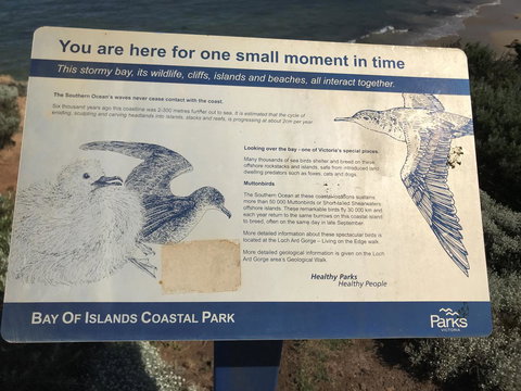 Sunsets On Martyrs Beach House - Ocean Views - Renee 39